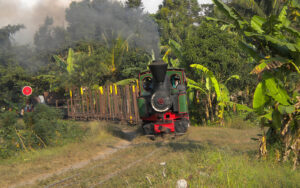 Alte Dampflok auf einer Zuckerrohrplantage in Indonesien