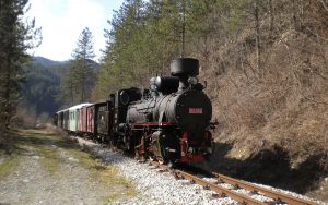 Schmalspurbahn in Bosnien-Herzogowina, 83-052