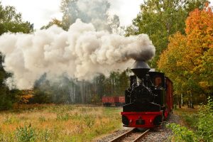 ©Foto: Steffen Mann | railmen | Dampflokomotive "Diana" der Waldeisenbahn Muskau bei einer Sonderfahrt durch den Tagebau Nochten – Geopark Muskauer Faltenbogen