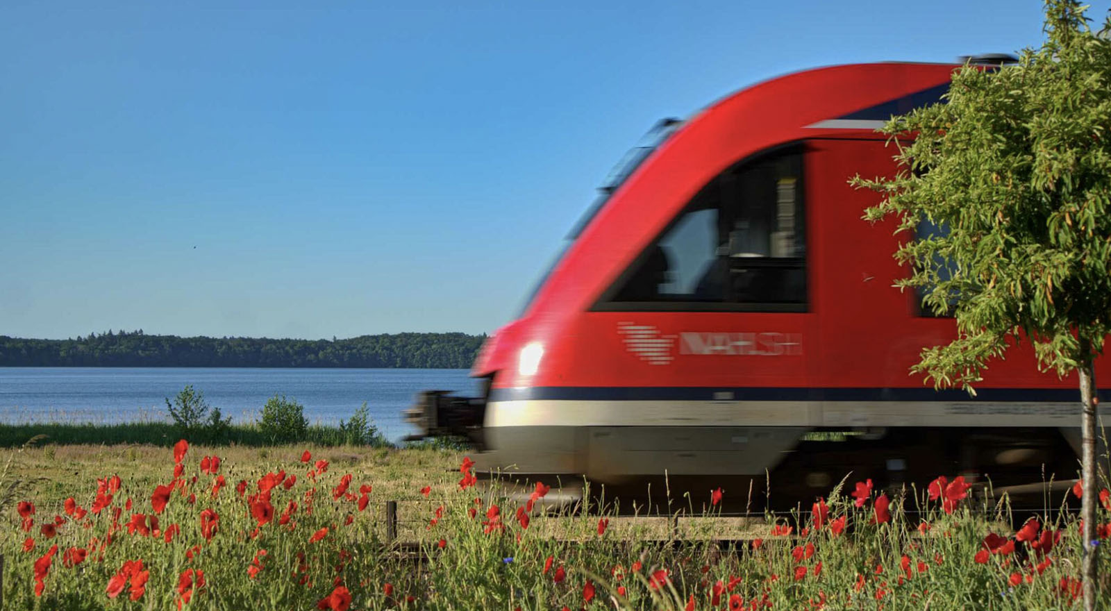 ©Foto: Jakob Valentin Fuchs | railmen Tf | Gleisende Sommerfrische am Behler See