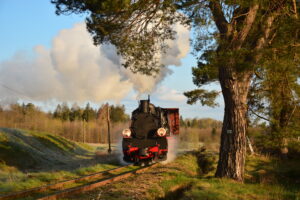 ©Foto: Steffen Mann | railmen | Polen | Lok Px48-3901 bei Manowo (in der poln. Woiwodschaft Westpommern gelegen)