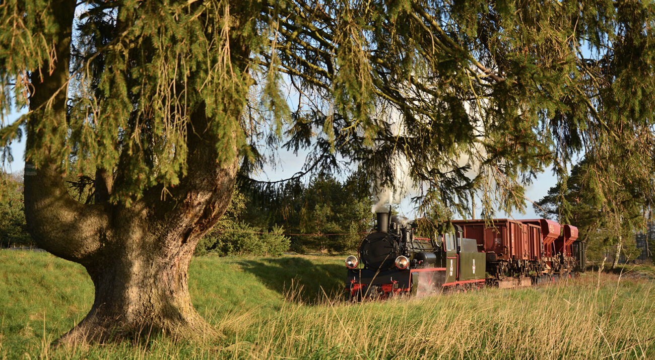 ©Foto: Steffen Mann | railmen | Polen | Lok Px48-3901 bei Manowo (in der poln. Woiwodschaft Westpommern gelegen)