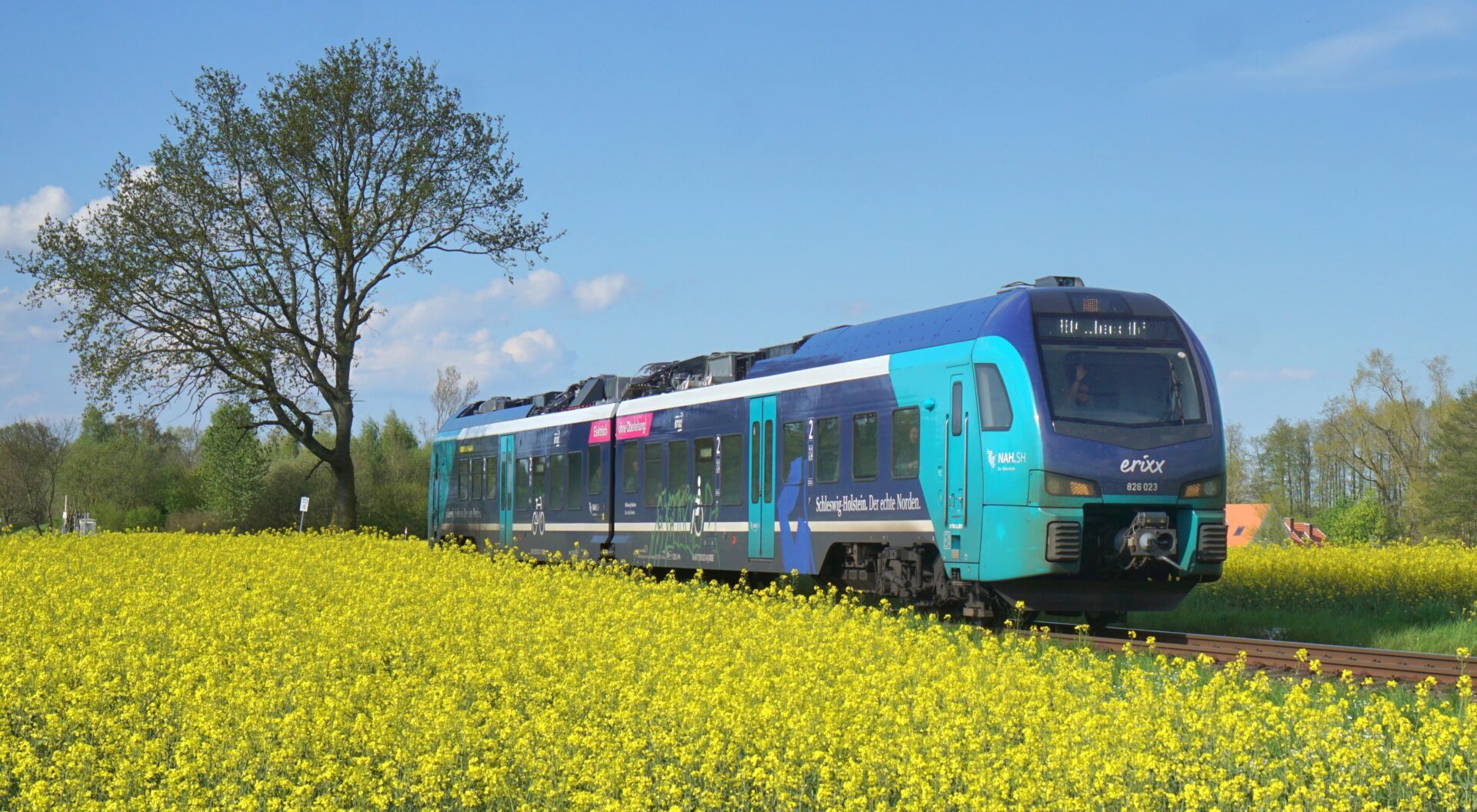 ©FOTO: JAKOB VALENTIN FUCHS | RAILMEN-LOKFÜHRER Batterieelektrische Triebzüge, die während ihres Aufenthalts an den Endbahnhöfen Kiel und Lübeck ihre Speicher über die Oberleitung aufladen, verbinden seit Ende 2023 beide Hansestädte. Auf ihrem Weg durchfahren sie den Naturpark Holsteinische Schweiz – hier bei der Rapsblüte nahe Pönitz.