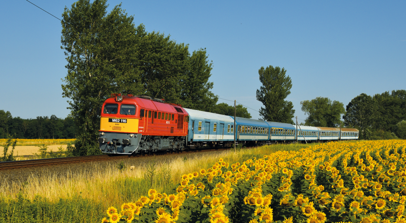 ©FOTO: COLIN KANNING | RAILMEN-AUSZUBILDENDER | Alljährlich im Hochsommer wird in Ungarn am Balaton ein Retro‐Wochenende veranstaltet. Ein absolutes Highlight sind dabei die Einsätze der Lok‐Baureihe M62 vor regulären Nahverkehrszügen. Am Sonnenblumenfeld bei Zalagyömörő konnte so 628 116 von MÁV‐START aufgenommen werden.